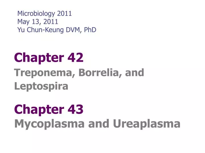 chapter 42 treponema borrelia and leptospira