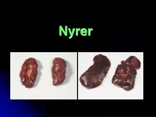 nyrer