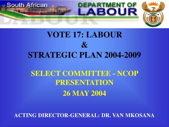 vote 17 labour strategic plan 2004 2009