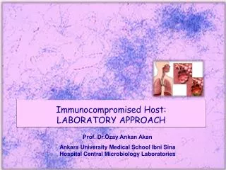 Immunocompromised Host: LABORATORY APPROACH