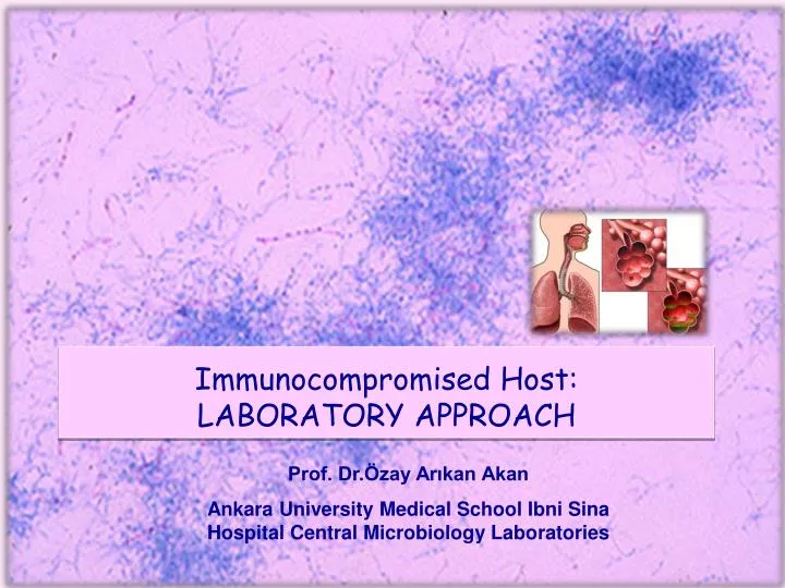 immunocompromised host laboratory approach