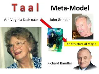 meta model