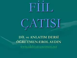 f l atisi