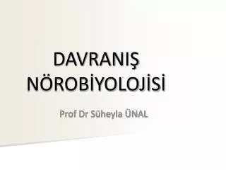 davrani n rob yoloj s