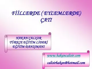 f llerde eylemlerde ati