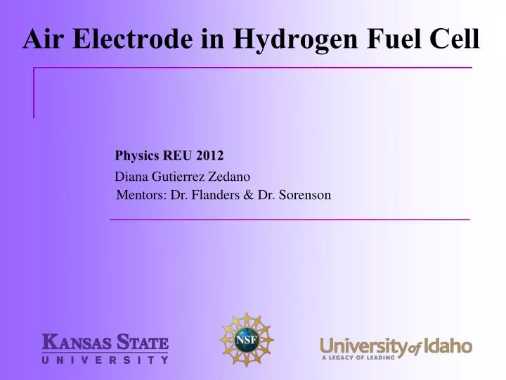 air electrode in hydrogen fuel cell