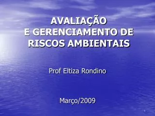 avalia o e gerenciamento de riscos ambientais