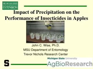 Impact of Precipitation on the Performance of Insecticides in Apples