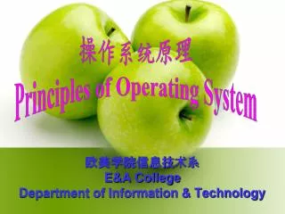 e a college department of information technology