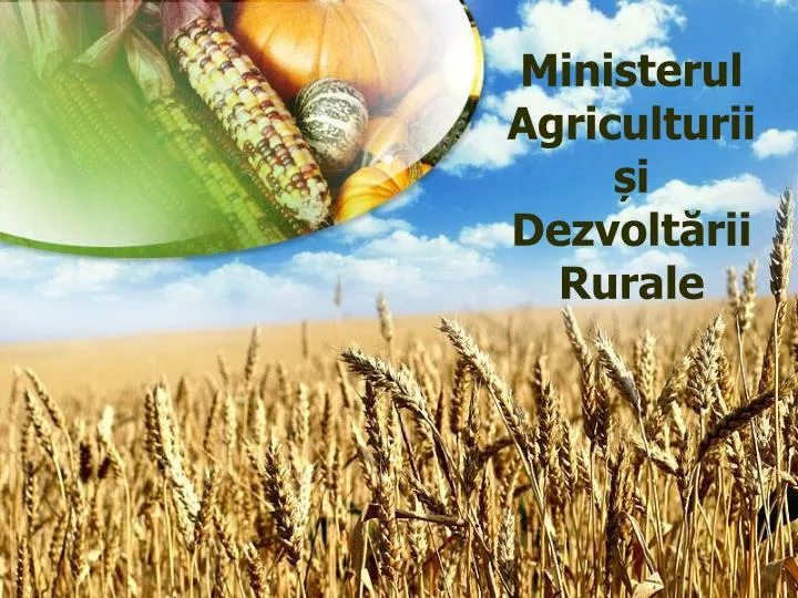 ministerul agriculturii i dezvolt rii rurale