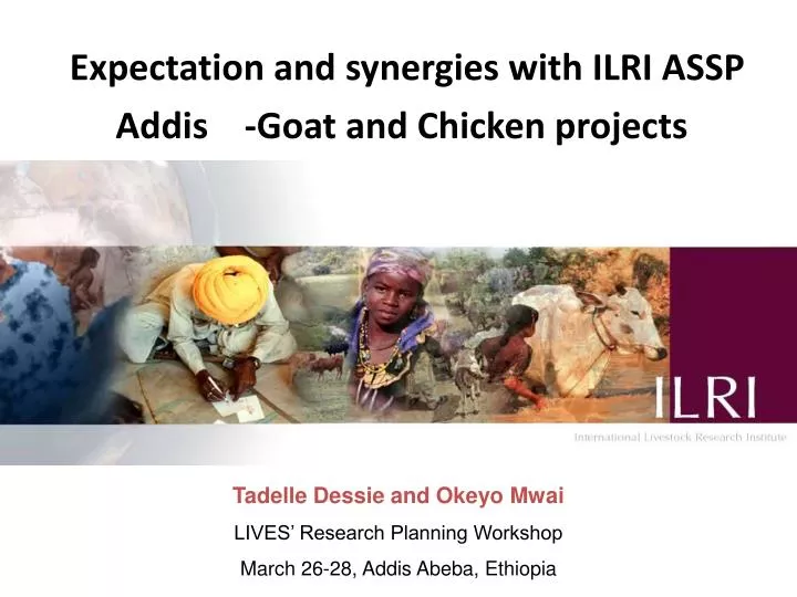 expectation and synergies with ilri assp addis goat and chicken projects