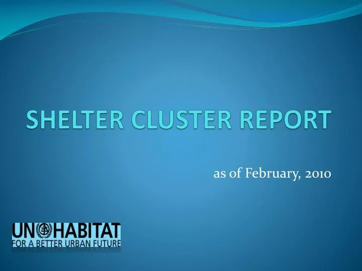 shelter cluster report