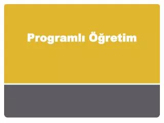 programl retim