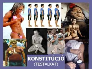 konstit ci testalkat