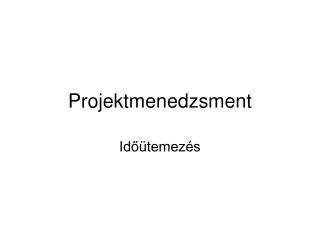 projektmenedzsment