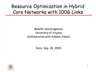 Resource Optimization in Hybrid Core Networks with 100G Links