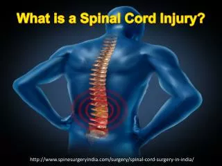 Spinal Cord Injury & Treatment