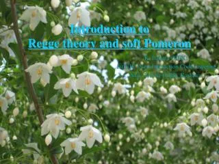 introduction to regge theory and soft pomeron