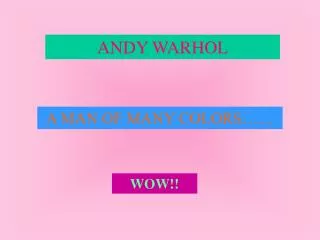 ANDY WARHOL