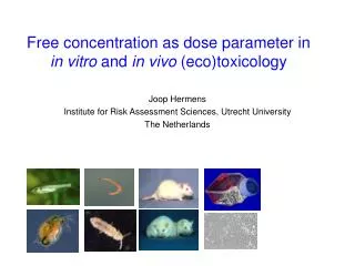 Free concentration as dose parameter in in vitro and in vivo (eco)toxicology