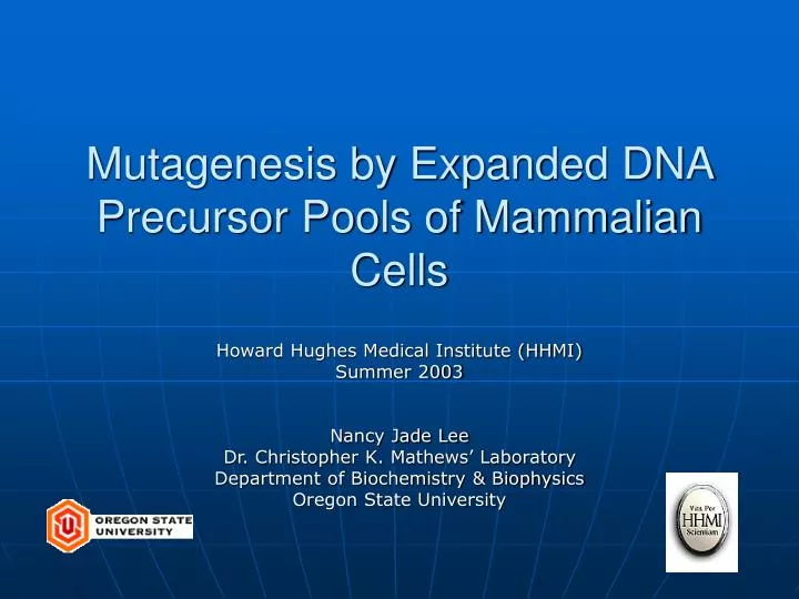 mutagenesis by expanded dna precursor pools of mammalian cells
