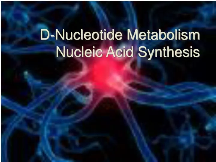d nucleotide metabolism nucleic acid synthesis