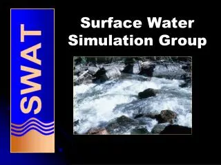 Surface Water Simulation Group