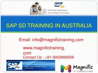 sap sd online training in Delhi