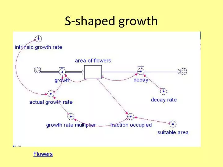 s shaped growth