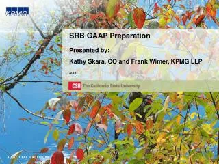 SRB GAAP Preparation Presented by: Kathy Skara, CO and Frank Wimer, KPMG LLP AUDIT