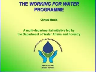 Managing Fynbos Catchments for Water 30 November 1993