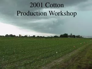 2001 Cotton Production Workshop