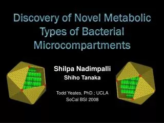 Discovery of Novel Metabolic Types of Bacterial Microcompartments