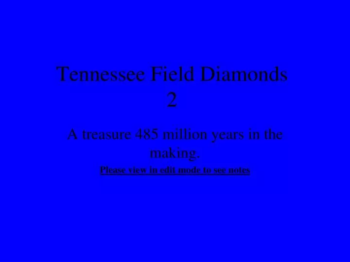tennessee field diamonds 2