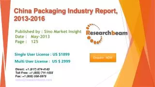 China Packaging Market Size, Share, Analysis 2013-2016