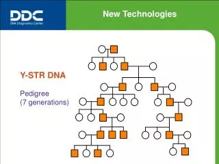 Y-STR DNA Pedigree (7 generations)