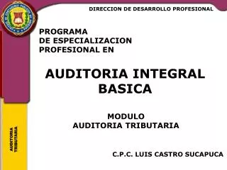 programa de especializacion profesional en