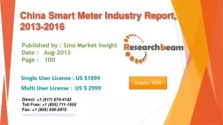 China Smart Meter Market Size, Share, Industry 2013-2016