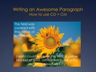Writing an Awesome Paragraph How to use CD + CM