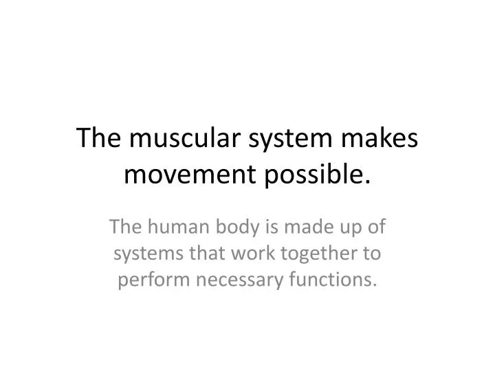 the muscular system makes movement possible
