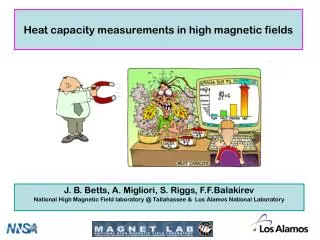 Heat capacity measurements in high magnetic fields