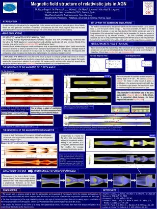 Magnetic field structure of relativistic jets in AGN