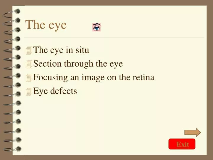 the eye