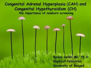 Congenital Adrenal Hyperplasia ( CAH ) and Congenital Hypothyroidism (CH)