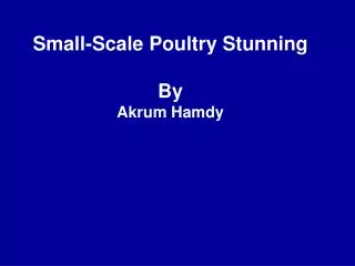 Small-Scale Poultry Stunning By Akrum Hamdy