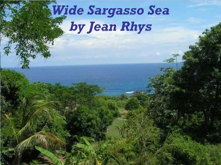 wide sargasso sea by jean rhys