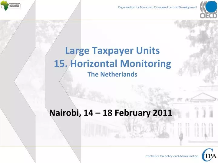 large taxpayer units 15 horizontal monitoring the netherlands