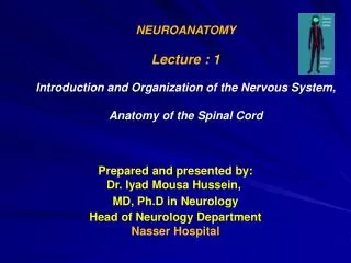 NEUROANATOMY Lecture : 1 Introduction and Organization of the Nervous System,
