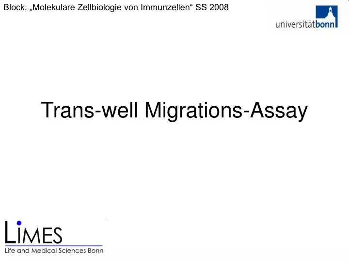 trans well migrations assay