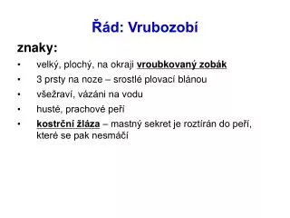 d vrubozob